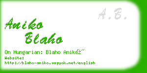 aniko blaho business card